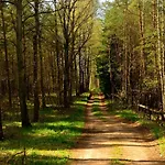 Mazury - Gizycko - Harsz - - Apartmazury Osada