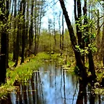 Mazury - Gizycko - Harsz - - Apartmazury Osada בית נופש Nowy Harsz