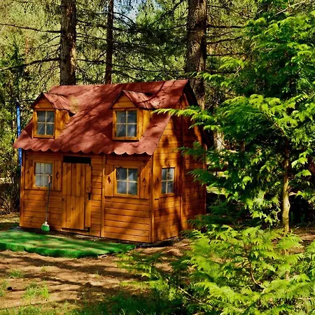 Дом отдыха Mazury - Gizycko - Harsz - - Apartmazury Osada