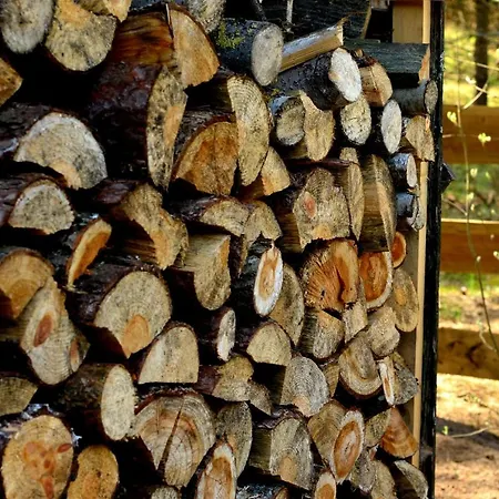 Mazury - Gizycko - Harsz - - Apartmazury Osada Дом отдыха