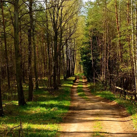 Mazury - Gizycko - Harsz - - Apartmazury Osada