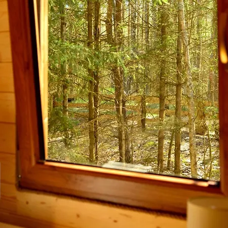 Mazury - Gizycko - Harsz - - Apartmazury Osada Дом отдыха