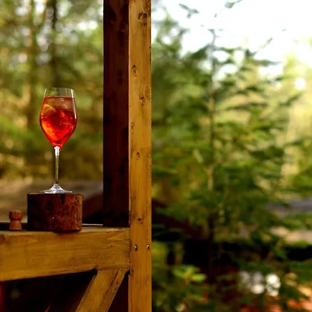 Mazury - Gizycko - Harsz - - Apartmazury Osada Дом отдыха