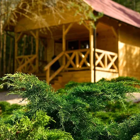 Дом отдыха Mazury - Gizycko - Harsz - - Apartmazury Osada Nowy Harsz