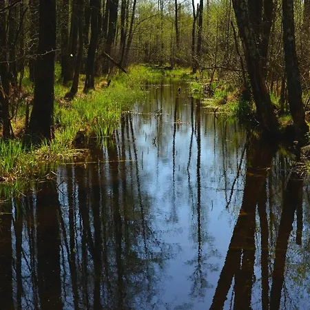 Дом отдыха Mazury - Gizycko - Harsz - - Apartmazury Osada