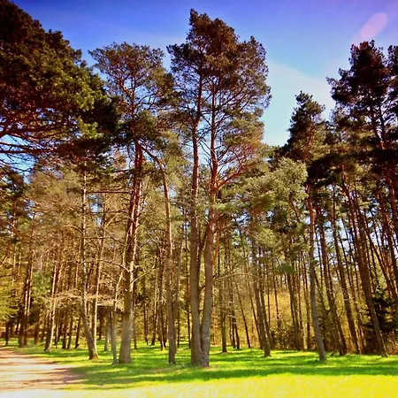 Casa vacanze Mazury - Gizycko - Harsz - - Apartmazury Osada