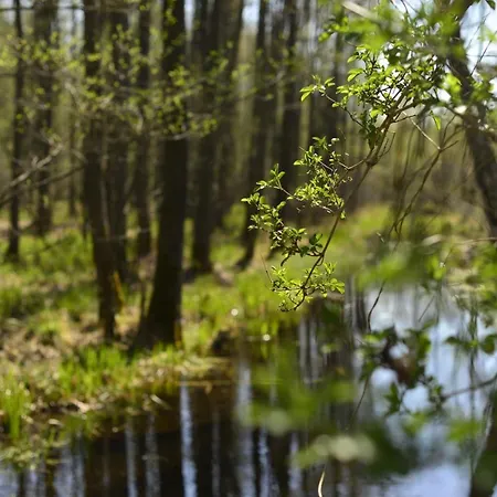 Casa vacanze Mazury - Gizycko - Harsz - - Apartmazury Osada Nowy Harsz