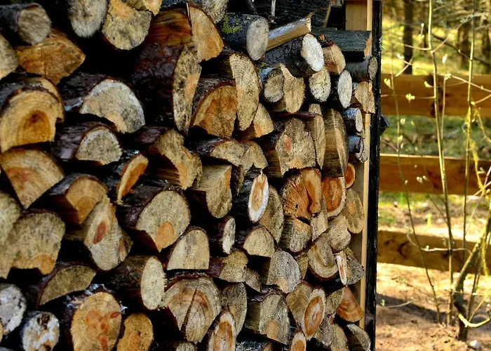 Mazury - Gizycko - Harsz - - Apartmazury Osada Ferienhaus