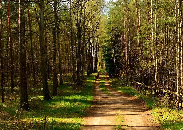 Mazury - Gizycko - Harsz - - Apartmazury Osada