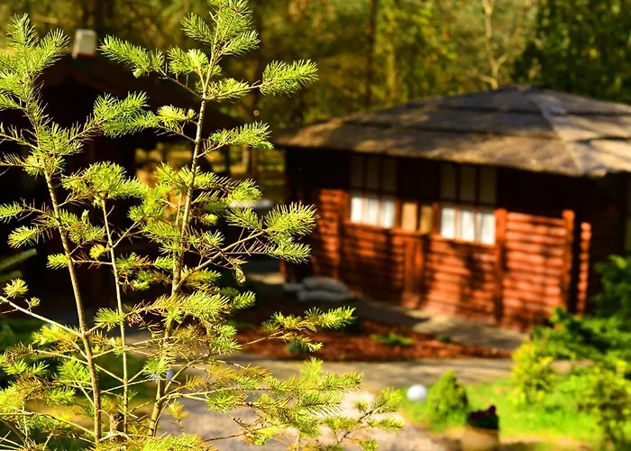 Mazury - Gizycko - Harsz - - Apartmazury Osada * Nowy Harsz