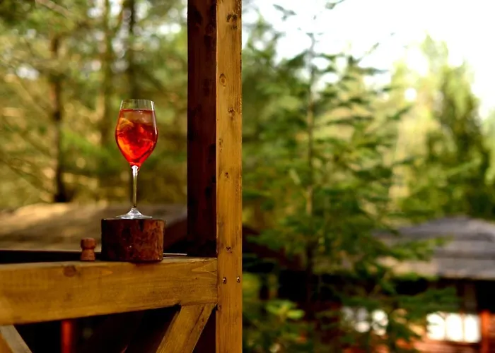 Mazury - Gizycko - Harsz - - Apartmazury Osada Ferienhaus