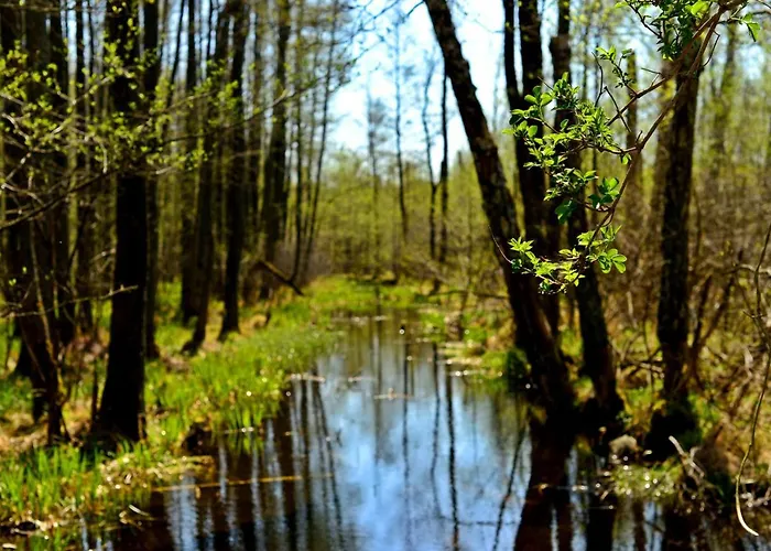Mazury - Gizycko - Harsz - - Apartmazury Osada Ferienhaus Nowy Harsz