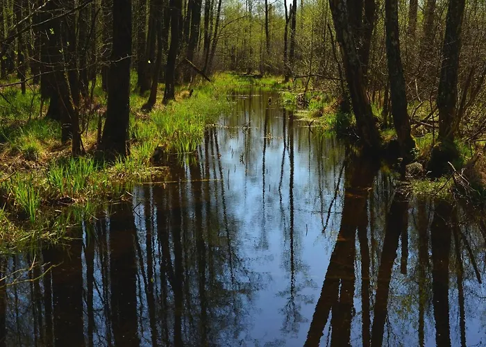Ferienhaus Mazury - Gizycko - Harsz - - Apartmazury Osada