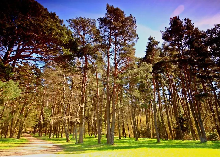 Ferienhaus Mazury - Gizycko - Harsz - - Apartmazury Osada