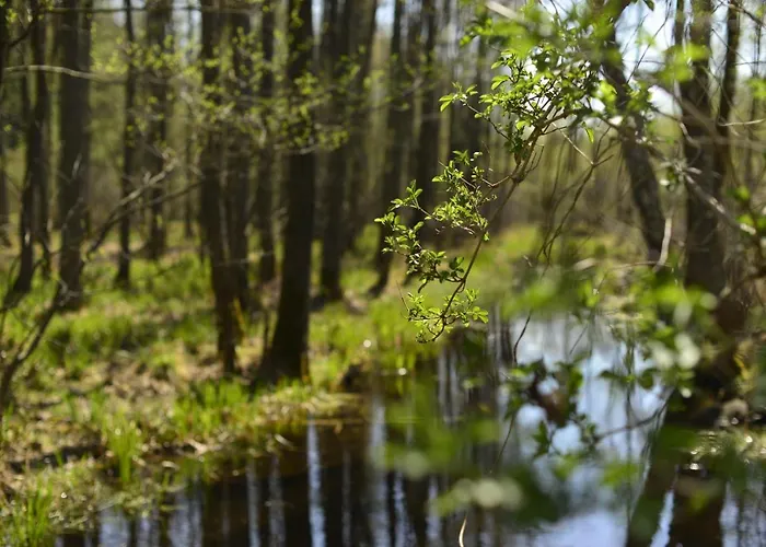 Ferienhaus Mazury - Gizycko - Harsz - - Apartmazury Osada Nowy Harsz